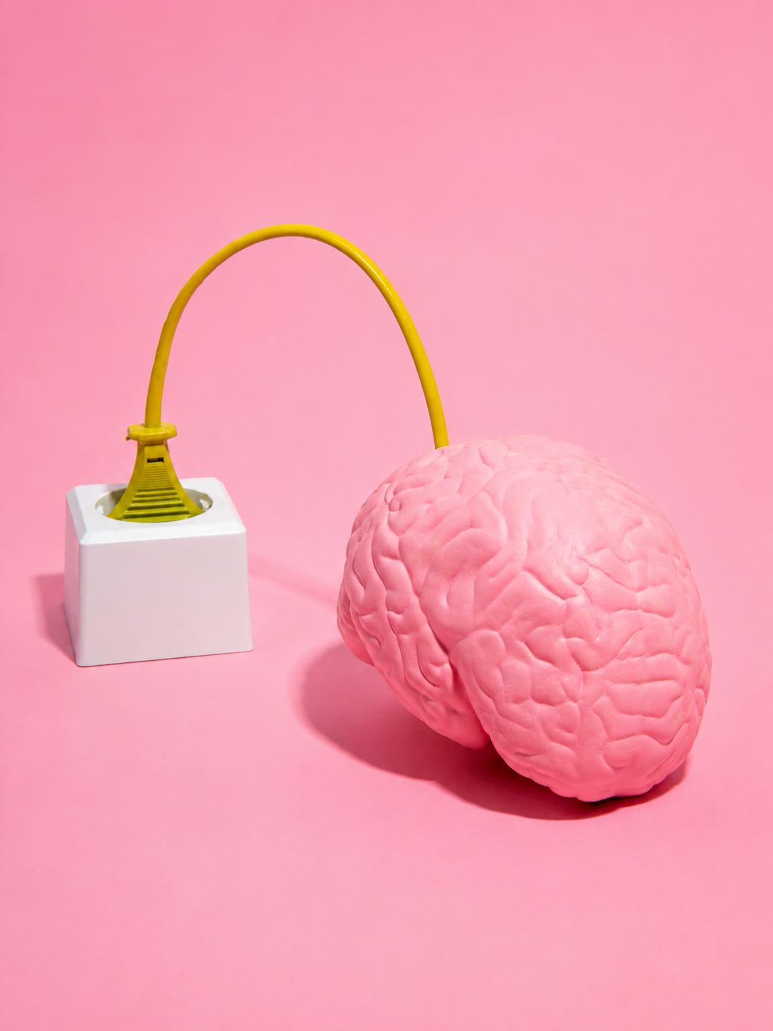 cerebro